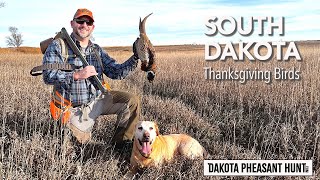 South Dakota Pheasant Hunting: Thanksgiving Birds