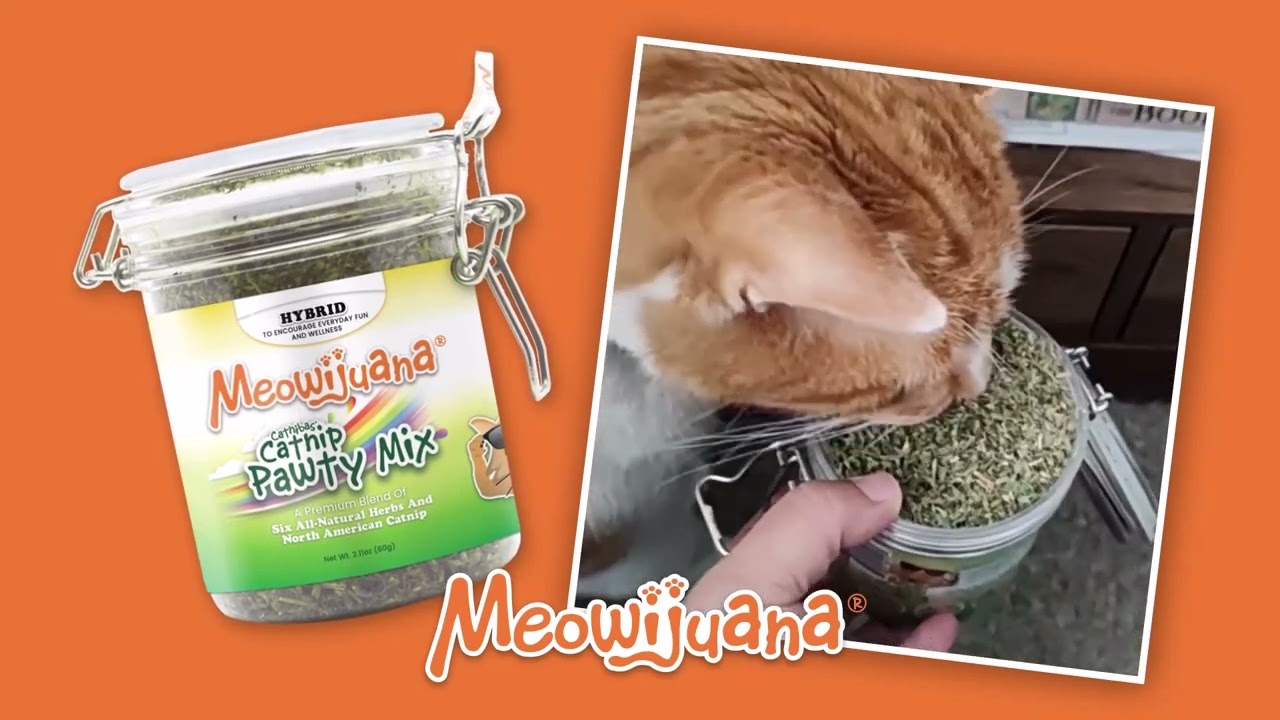 Meowijuana Promotions – SmarterPaw
