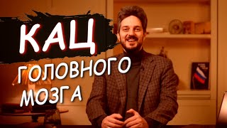 Максим Кац и его святая простота // замена Шойгу - Белоусов