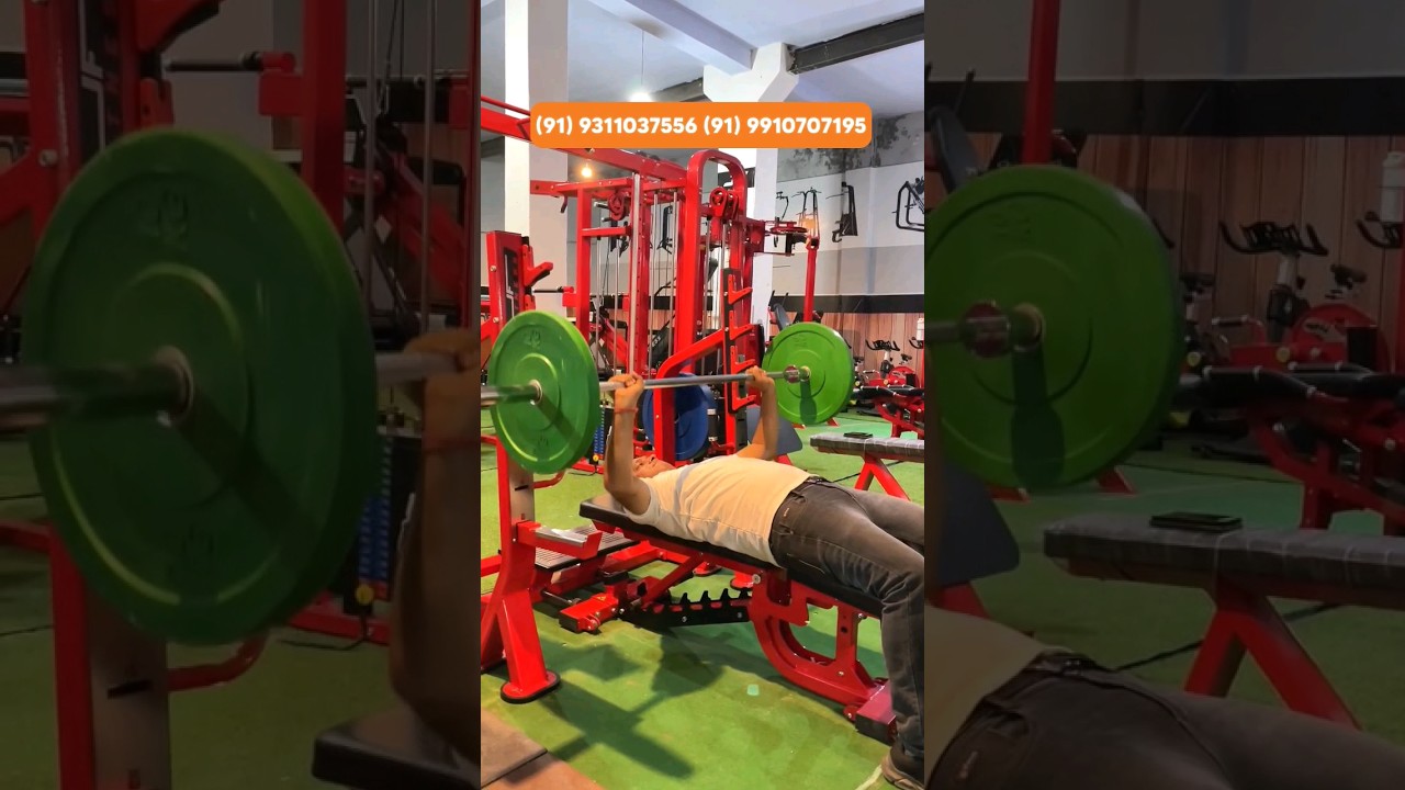 OLYMPIC ALL IN ONE BENCH  || 