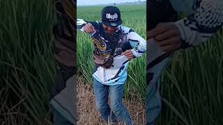 jokiguns jokiakew ajojing lucu ngakak kontenlucu viralindonesia hiburan kocakabis