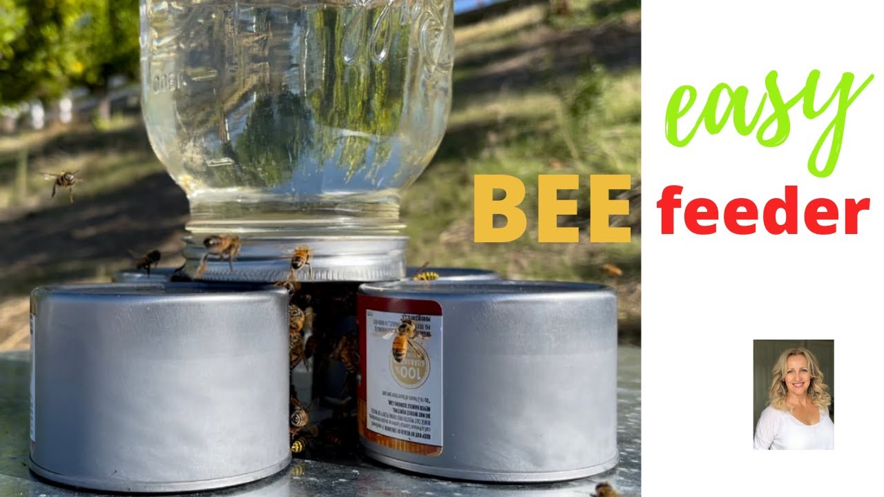 HOW TO MAKE A BEE FEEDER - make your own / episode 2. - YouTube