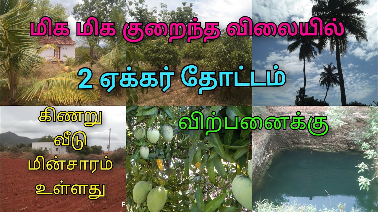 9600525601 திண்டுக்கல் மாவட்டம் அதிகாரி பட்டி அருகில் ஊரை ஒட்டி குறைந்த விலையில் தோட்டம் விற்பனைக்கு