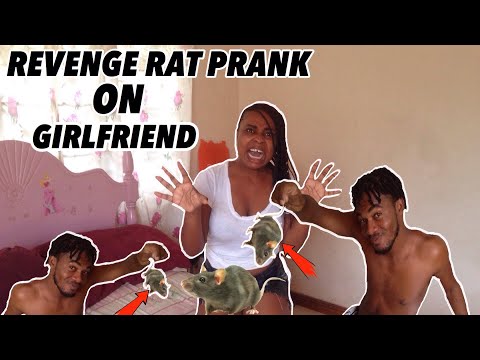 revenge-rat-prank-on-girlfriend-((extremely-funny)-abbi-and-capo