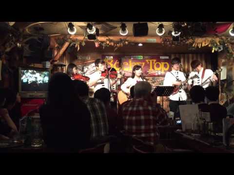 31 String Band Rocky Top Ginza 2