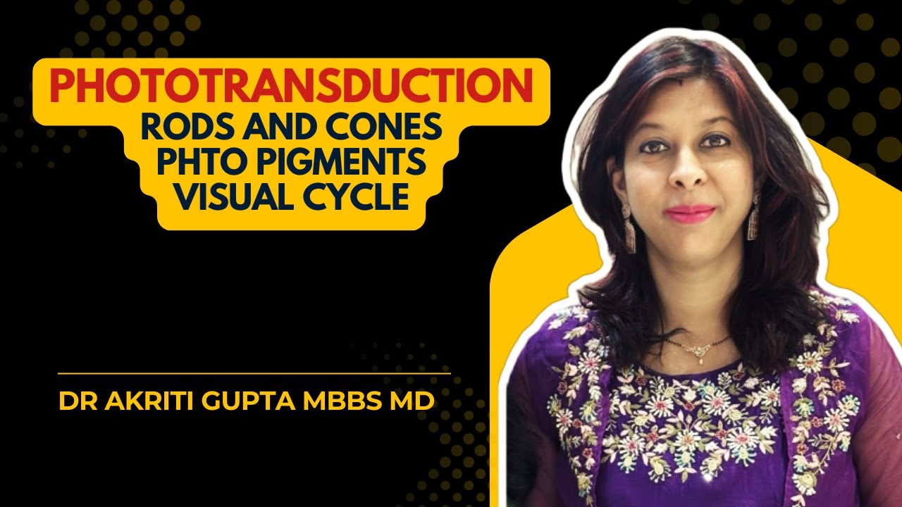 Special senses | Phototransduction | Rods & Cons | Photochemistry of vision | Visual Cycle 