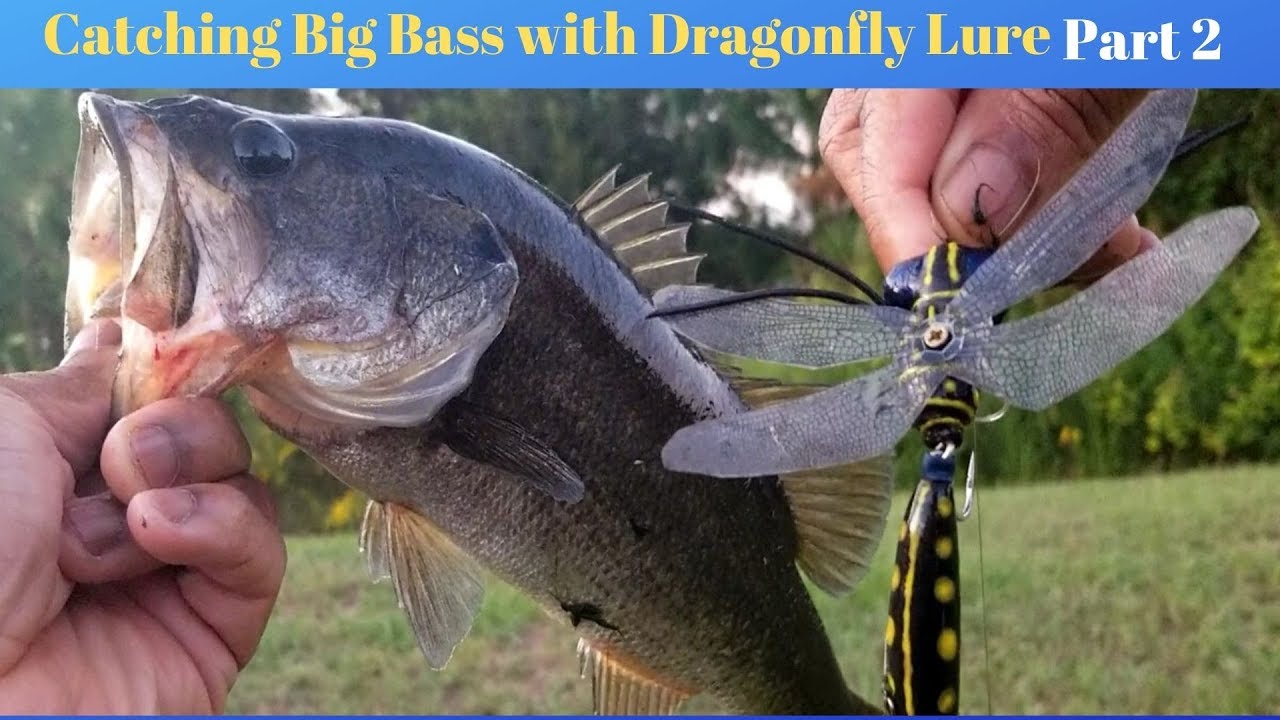 Big Bass Love Dragonfly Lures part 2 YouTube