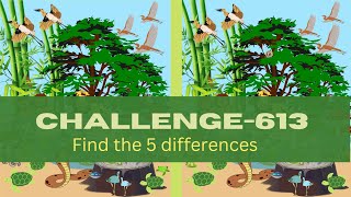 Find 5 differences  || picture puzzle no.613 || Find the difference games free online|| Brain games screenshot 3