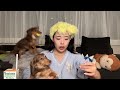恋バナ