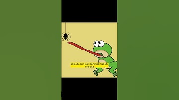 LIDAH KATAK POHON #shortvideo #youtubeshorts #shortsfeed