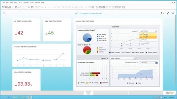SAP Business One Service Module Demonstration