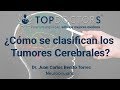 ¿Cómo se clasifican los Tumores Cerebrales?