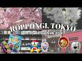Tokyo Cherry Blossoms 2026 🌸 Roppongi Sakura Walk | Don Quijote Shopping &amp; Japanese Food