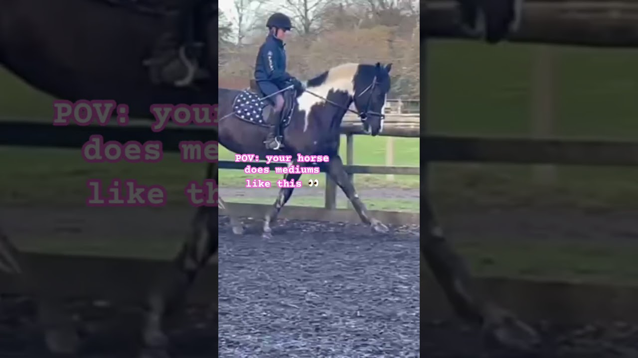 Strutting her stuff ⭐️ 