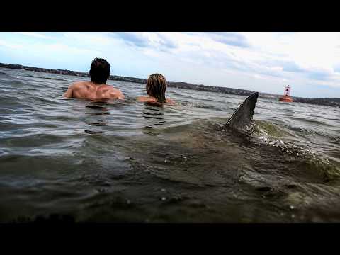 BREAKING: 3 Vicious Shark Attacks In 26 Hours!
