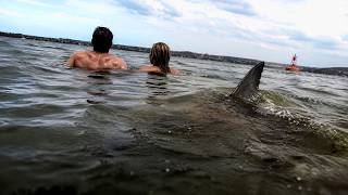 BREAKING: 3 Vicious Shark Attacks In 26 Hours!