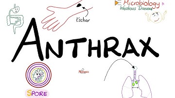 Anthrax - Causes, Symptoms, Diagnosis, Treatment - Bacillus anthracis - Microbiology 🧫