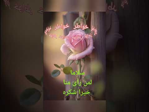 خواطر صوتية خواطر Shorts 