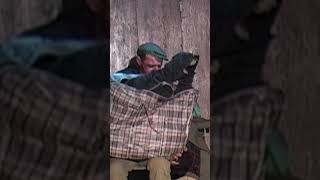 As-Tu Vu Mon Sur Gwen Et Sa Marionnette Ouf ? Videaste.eu