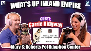 Pet Adoption Center - Podcast Ep 27