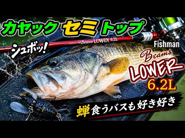 Fishman】フィッシュマン ビームス ローワーBeams LOWER 6.2L