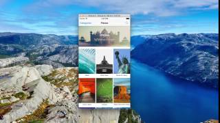 88 Multiple Collection Views   Demo