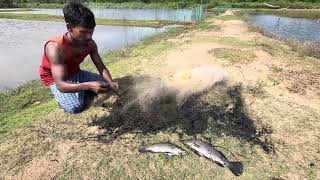 Most Popular Cast Net Fishing In Village Pond - Net Fishing With Beautiful Natural