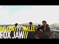 FOX JAW - SIREN'S CALL (BalconyTV)