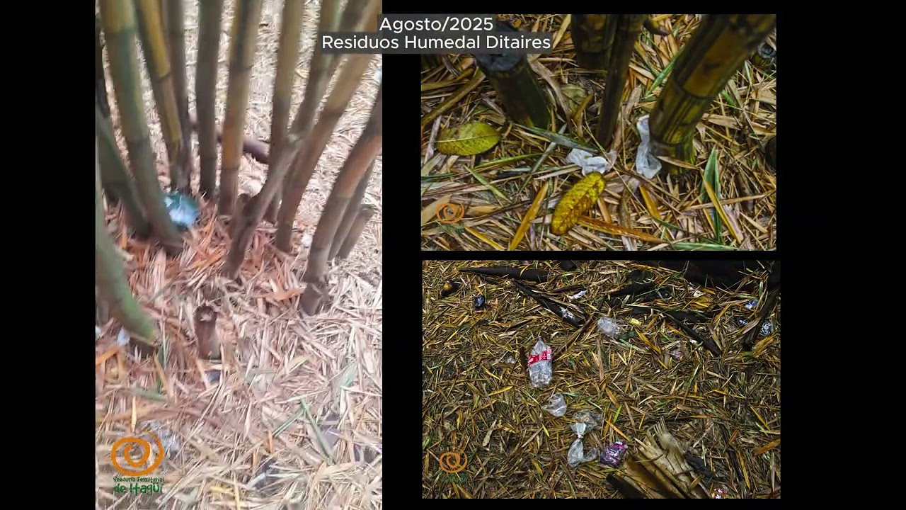 Agosto/2025 Residuos de actividad sexual y otros en el Humedal Ditaires