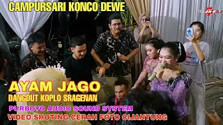 Ayam Jago Dangdut Koplo Campursari Konco Dewe Purboyo Audio Video Cerah Foto Cijantung