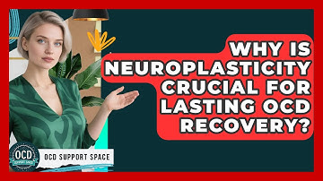 Why Is Neuroplasticity Crucial For Lasting OCD Recovery? - OCD Support Space