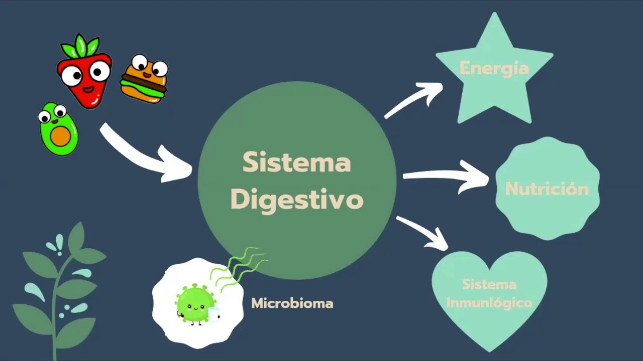 Presentación Usana HPS y Probiotic