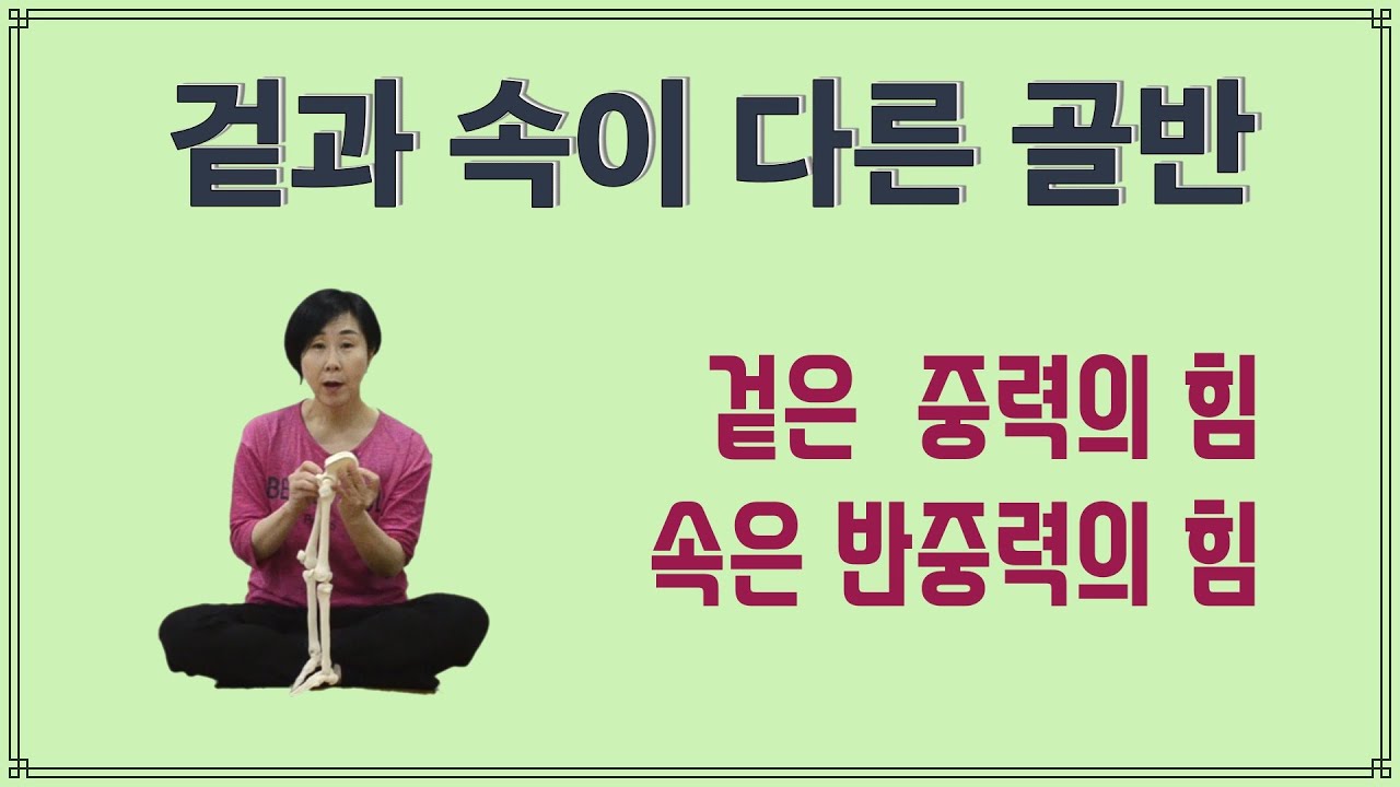 [마름모코어 시즌 1-253] 장골 / 겉과 속의 쓰임새가 다른 골반의 장골 / 엉덩이가 가벼워지는 법 / 마름모코어