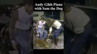 Andy Gibb Piano With Sam The Dog