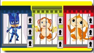 PJ MASKS Kids Prison Monkey Go To Dungeon Wrong Colors Key Baby Finger Family Song for Children @CartoonColorsKids