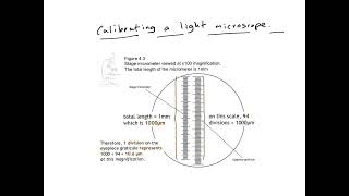AS & A Level- How to calibrate a light microscope