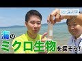 海のミクロ生物を探そう！ 日本財団 海と日本PROJECT in やまぐち 2019 #06