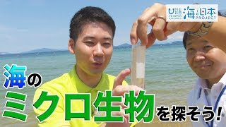 海のミクロ生物を探そう！ 日本財団 海と日本PROJECT in やまぐち 2019 #06