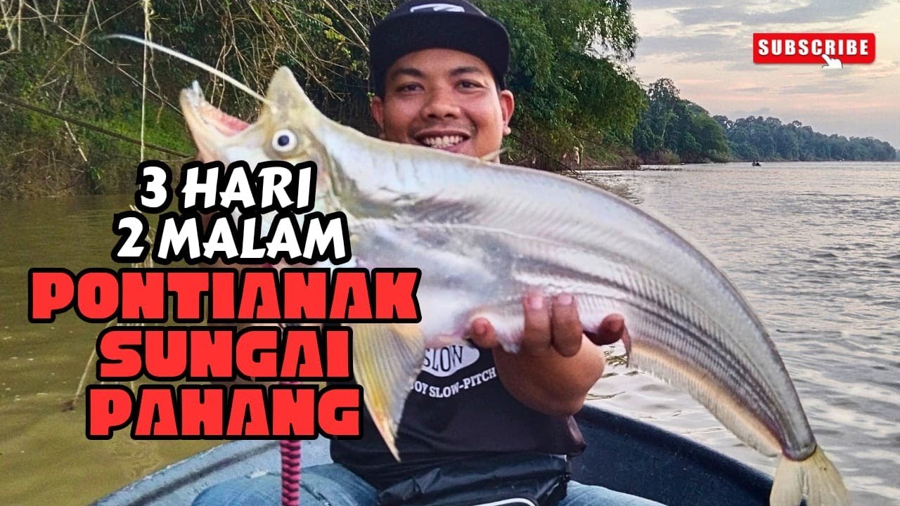 3HARI 2MALAM CASTING BEGAHAK SUNGAI PAHANG AKA PONTIANAK SUNGAI 