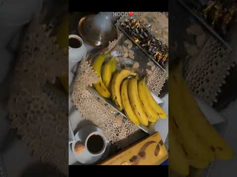 ليس هناك وسادة ناعمة في هذا العالم مثل الضمير النقي