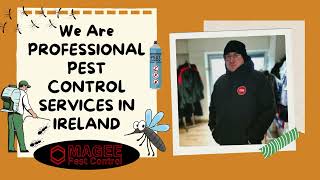 Reliable Pest Control in Ireland | Magee Pest Control – Rodents, Wasps, Bedbugs & More