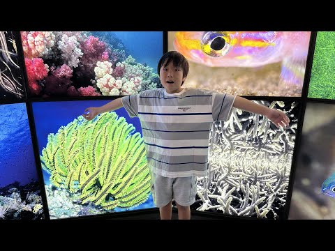 レオくん Cleaning🤣 Part4 #shorts #レオ - YouTube