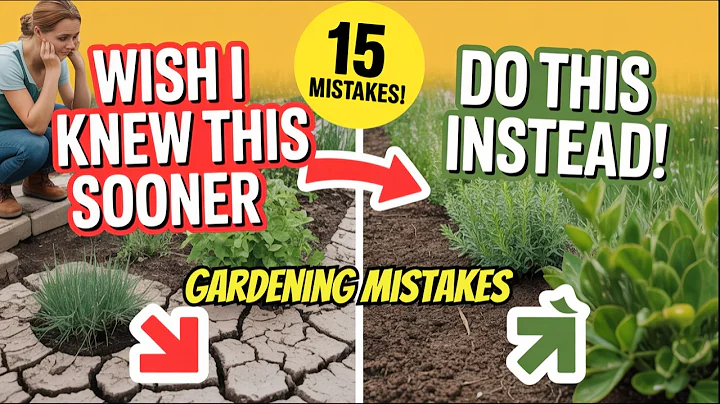 15 Beginner Gardening Mistakes That Nobody Talks About