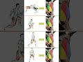 Leg_muscles_without_Equipment__#shorts_#abs_#leg_workout_#muscles