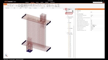 Reinforced Walking Column (ACI)