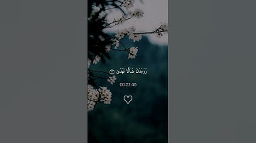 سورة الضحى 🌹ماهر المعيقلي // حالات واتس اب🤎 راحة نفسية #ماهر_المعيقلي #foryou #اكسبلور