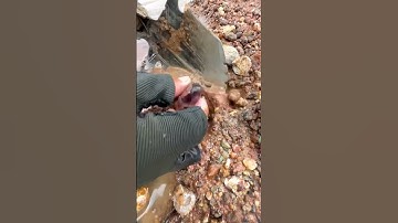 Wow 🤩 #trending #youtube #gems #gemstone #mining #subscribe #video