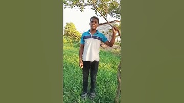 أواخر سورة الزمر | #محمد_صبرى
