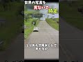 【Geoguessr】もう見る必要なんてない#geoguessr