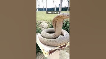 Thumbnail of kaget sampe jatuh#memes #viral #funny #ular #jumpscare #comedy